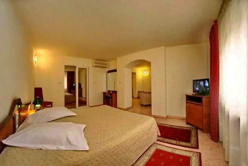 Cazare Timișoara - Hotel Euro*** | Temesvár - Euro Hotel***. Imaginea poate fi supusă drepturilor de autor. Se recomandă contactarea titularului drepturilor.