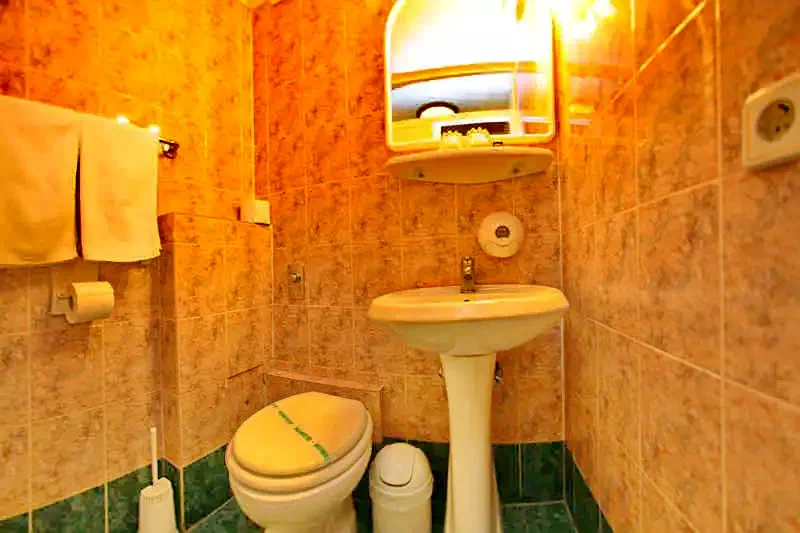 Cazare Timișoara - Hotel Euro*** | Temesvár - Euro Hotel***. Imaginea poate fi supusă drepturilor de autor. Se recomandă contactarea titularului drepturilor.