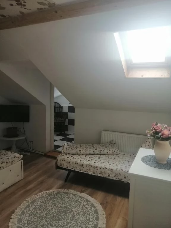 Turda Cazare | Hostel (K0026-25) Imaginea poate fi supusă drepturilor de autor. Se recomandă contactarea titularului drepturilor.