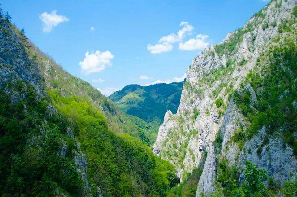 Nagyenyed Szállás | Panzió (K0029-46) A kép szerzői jogvédelem alatt állhat. Javasolt a kapcsolatfelvétel a jog tulajdonossal.