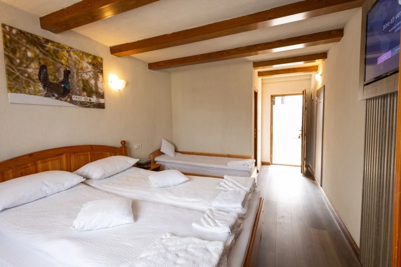 Szállás Padiș - Cabanele Five Chalets | Pádis - Five Chalets Kulcsosházak . A kép szerzői jogvédelem alatt állhat. Javasolt a kapcsolatfelvétel a jog tulajdonossal.