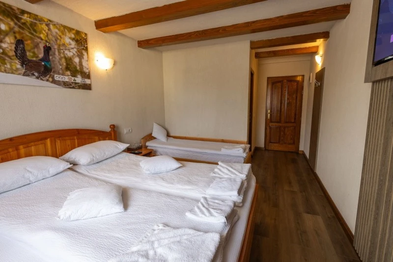 Szállás Padiș - Cabanele Five Chalets | Pádis - Five Chalets Kulcsosházak . A kép szerzői jogvédelem alatt állhat. Javasolt a kapcsolatfelvétel a jog tulajdonossal.