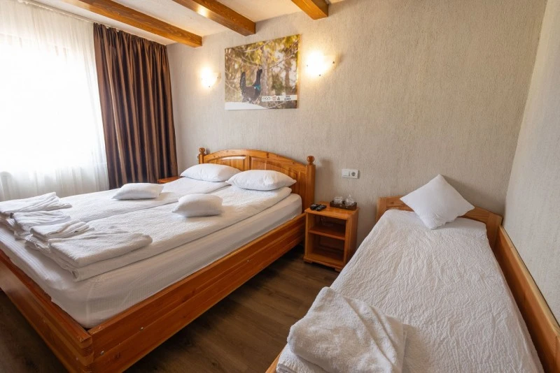 Szállás Padiș - Cabanele Five Chalets | Pádis - Five Chalets Kulcsosházak . A kép szerzői jogvédelem alatt állhat. Javasolt a kapcsolatfelvétel a jog tulajdonossal.