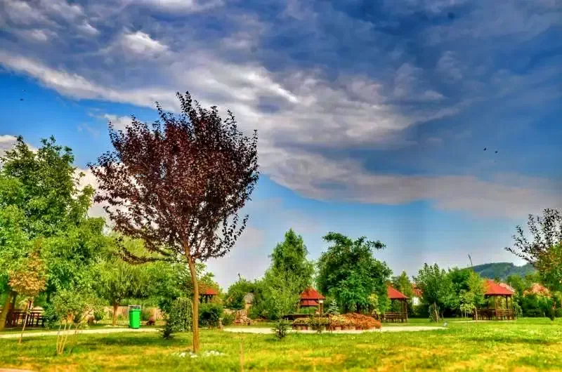 Târgu Mureș Cazare | Hotel**** (K0084-80) Imaginea poate fi supusă drepturilor de autor. Se recomandă contactarea titularului drepturilor.