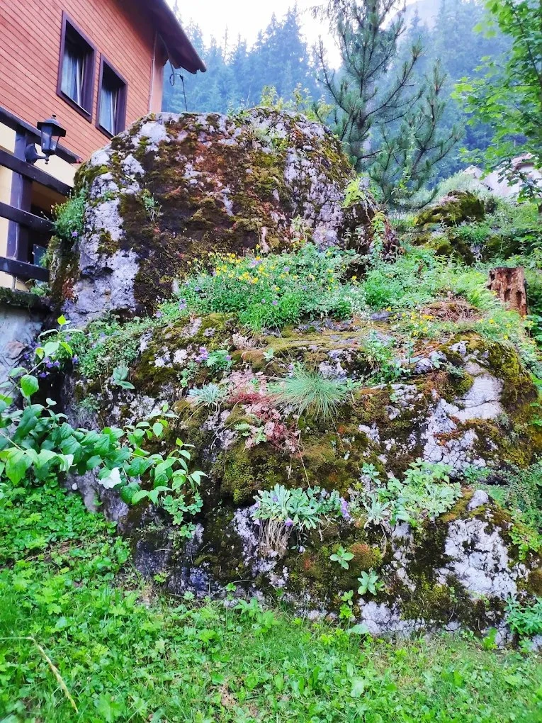 Cazare Lacu Rosu - Vila Gál*** | Gyilkostó - Gál Villa***. Imaginea poate fi supusă drepturilor de autor. Se recomandă contactarea titularului drepturilor.