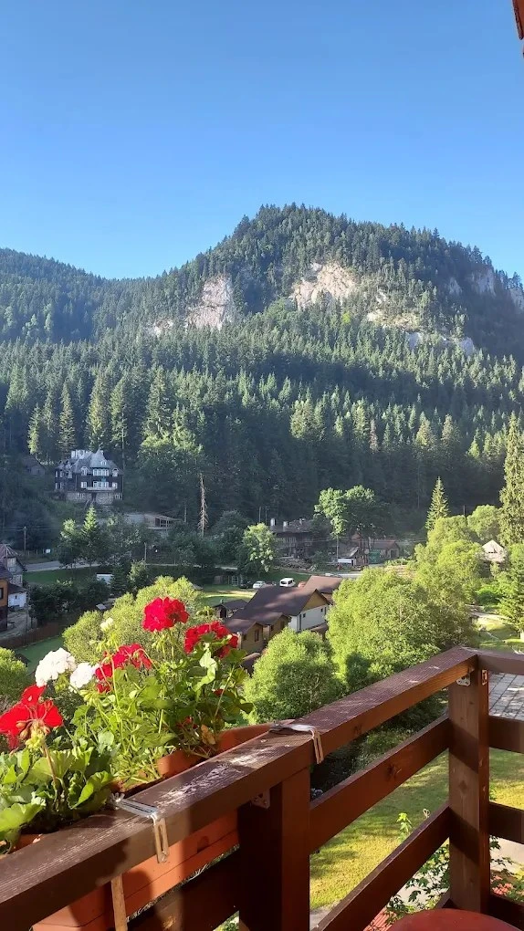 Lacu Roșu Cazare | Vilă (K0254-16) Imaginea poate fi supusă drepturilor de autor. Se recomandă contactarea titularului drepturilor.