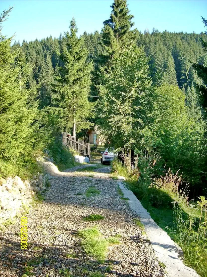 Lacu Roșu Cazare | Cabană (K1242-41) Imaginea poate fi supusă drepturilor de autor. Se recomandă contactarea titularului drepturilor.