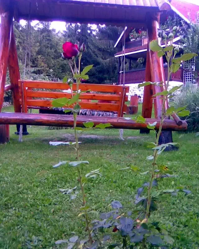 Lacu Roșu Cazare | Cabană (K1242-59) Imaginea poate fi supusă drepturilor de autor. Se recomandă contactarea titularului drepturilor.