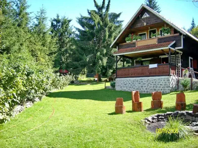 Lacu Roșu Cazare | Cabană (K1242-63) Imaginea poate fi supusă drepturilor de autor. Se recomandă contactarea titularului drepturilor.