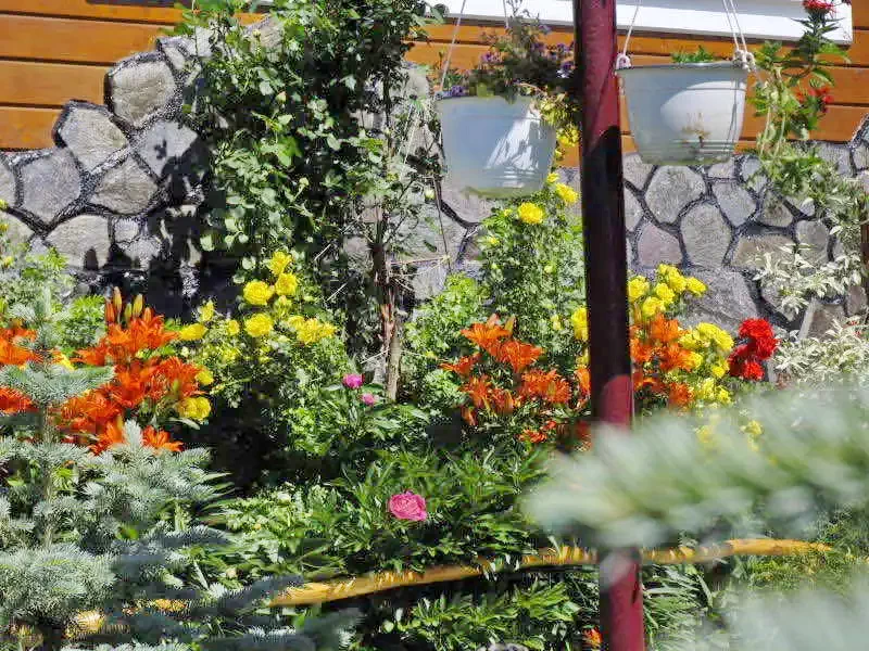 Cazare Gheorgheni - Pensiunea Vulcani Carpatini | Gyergyószentmiklós - Vulcani Carpatini Panzió. Imaginea poate fi supusă drepturilor de autor. Se recomandă contactarea titularului drepturilor.