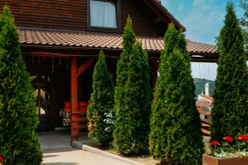 Praid Cazare | Cabană (K0303-38) Imaginea poate fi supusă drepturilor de autor. Se recomandă contactarea titularului drepturilor.