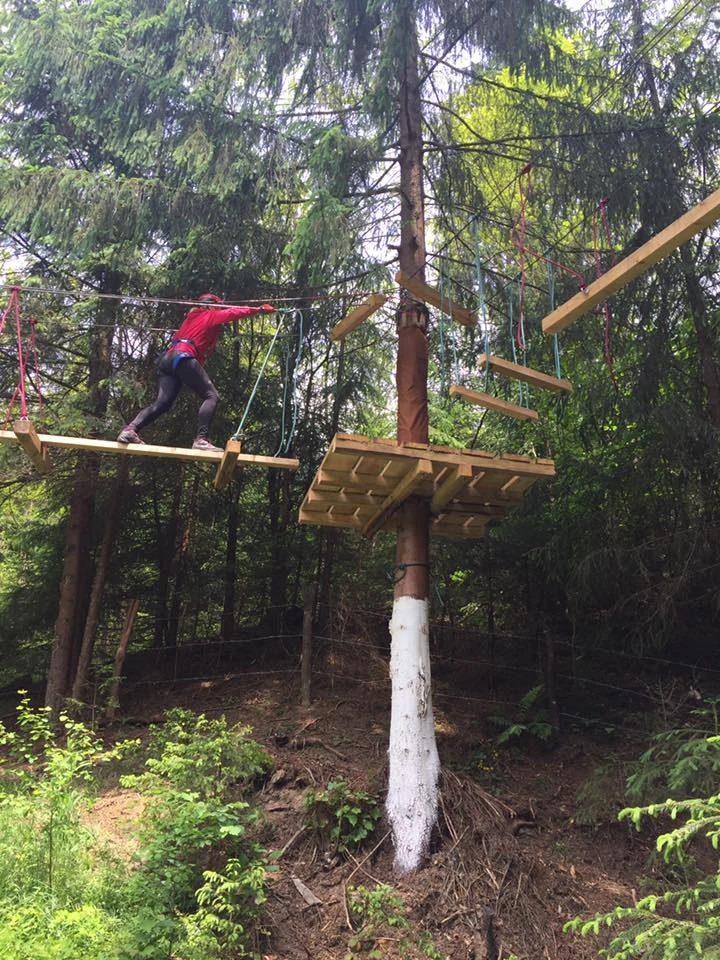 Albac Cazare | Pensiune (K0030-45) Imaginea poate fi supusă drepturilor de autor. Se recomandă contactarea titularului drepturilor.