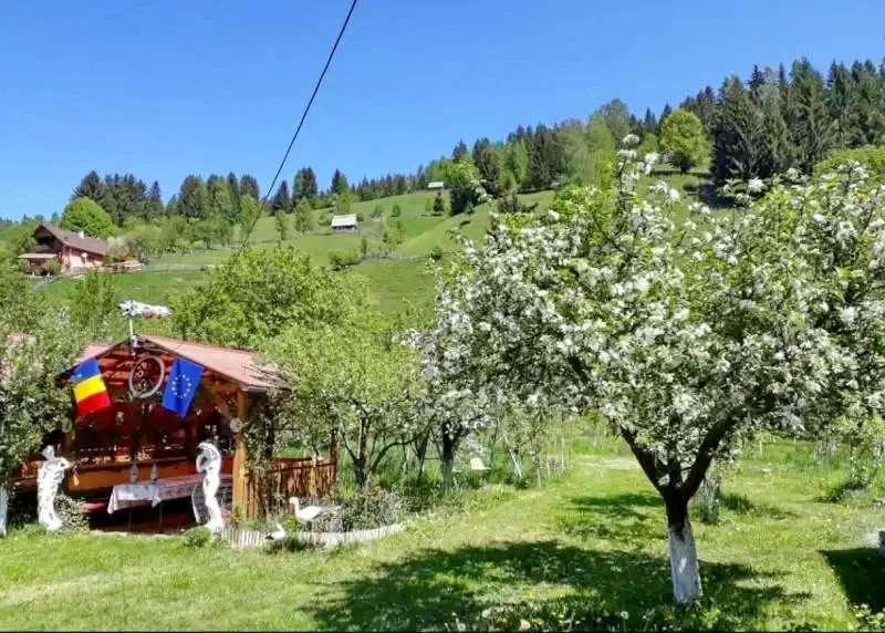 Albac Cazare | Pensiune (K0031-6) Imaginea poate fi supusă drepturilor de autor. Se recomandă contactarea titularului drepturilor.