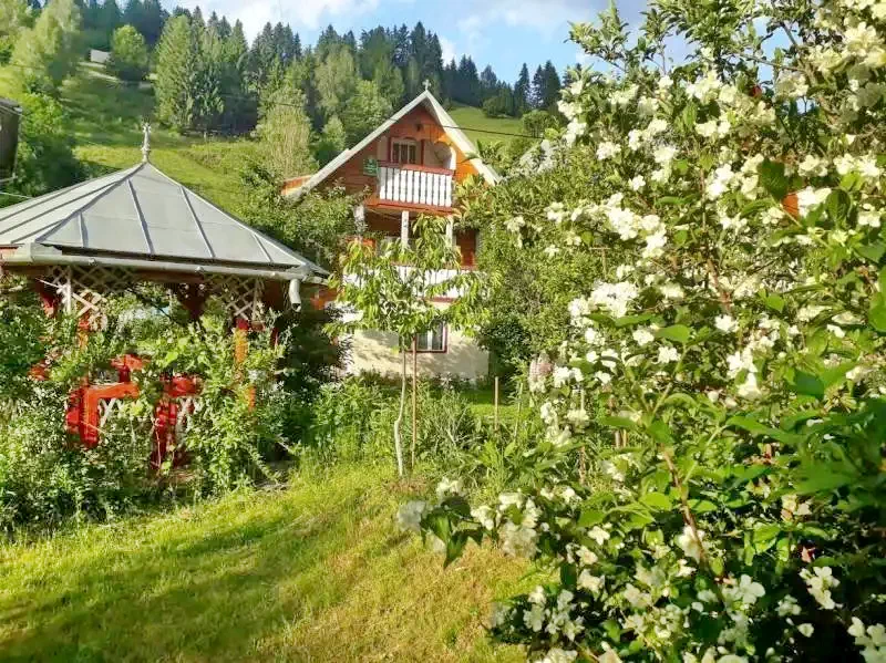 Albac Cazare | Pensiune (K0031-14) Imaginea poate fi supusă drepturilor de autor. Se recomandă contactarea titularului drepturilor.