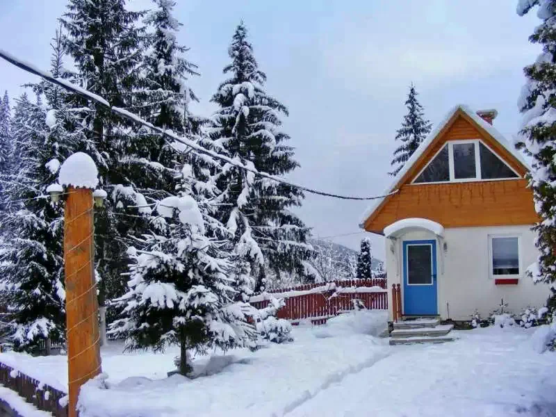 Cazare Băile Homorod - Casa de Vacanță Bokor 1 ** |  Homoródfürdő - Bokor 1. Kulcsosház **. Imaginea poate fi supusă drepturilor de autor. Se recomandă contactarea titularului drepturilor.