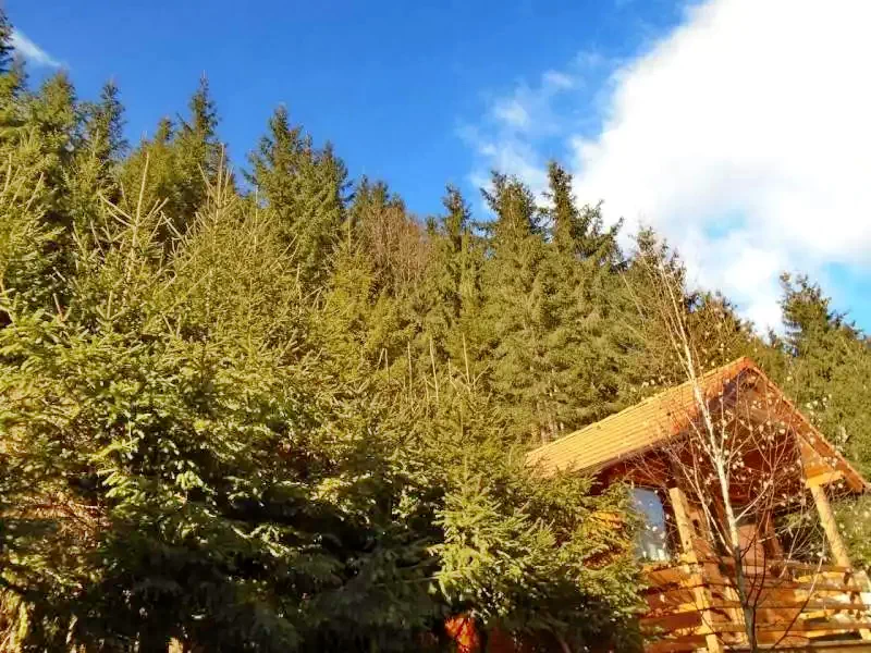 Cazare Băile Homorod - Casa de Vacanță Bokor 1 ** |  Homoródfürdő - Bokor 1. Kulcsosház **. Imaginea poate fi supusă drepturilor de autor. Se recomandă contactarea titularului drepturilor.