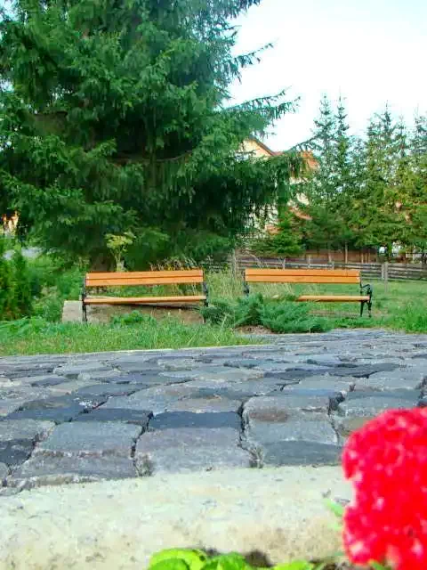 Cazare Borsec - Pensiunea Juliu's*** | Borszék - Juliu's Panzió***. Imaginea poate fi supusă drepturilor de autor. Se recomandă contactarea titularului drepturilor.