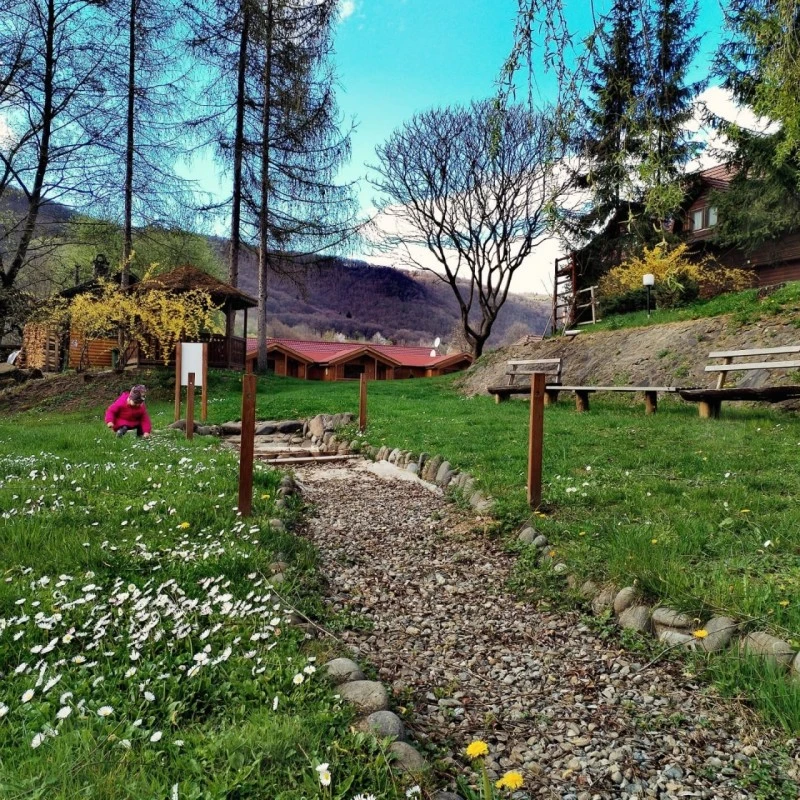 Cazare Sub Cetate - Pensiunea și camping Zetevár | Zeteváralja - Zetavár Panzió és Kemping*** . Imaginea poate fi supusă drepturilor de autor. Se recomandă contactarea titularului drepturilor.