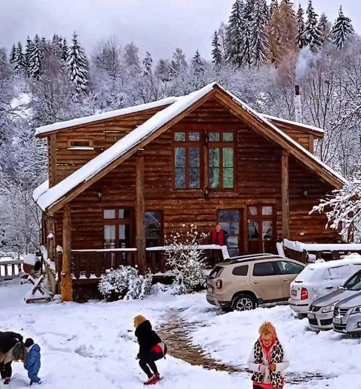 Beliș Cazare | Cabană (K0056-46) Imaginea poate fi supusă drepturilor de autor. Se recomandă contactarea titularului drepturilor.