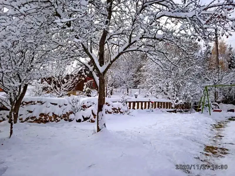 Beliș Cazare | Cabană (K0056-50) Imaginea poate fi supusă drepturilor de autor. Se recomandă contactarea titularului drepturilor.