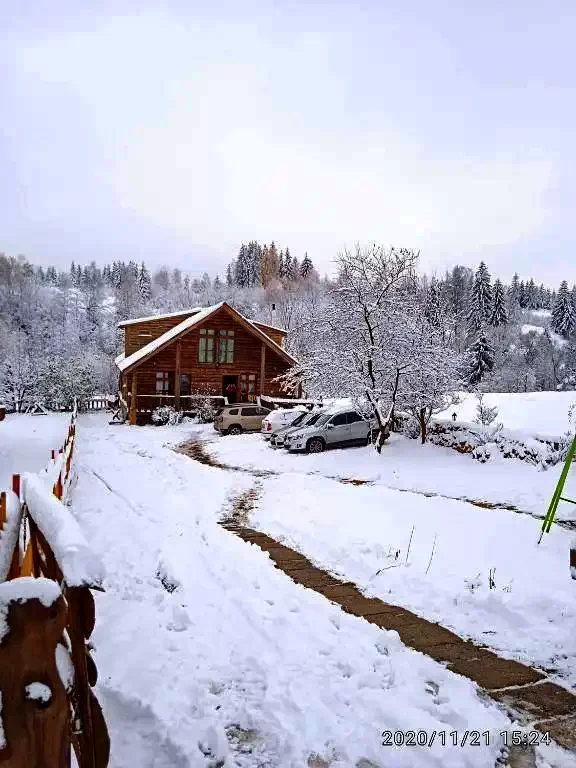 Beliș Cazare | Cabană (K0056-51) Imaginea poate fi supusă drepturilor de autor. Se recomandă contactarea titularului drepturilor.