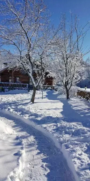 Cazare Beliș - Cabana Belis | Jósikafalva - Belis Kulcsosház. Imaginea poate fi supusă drepturilor de autor. Se recomandă contactarea titularului drepturilor.