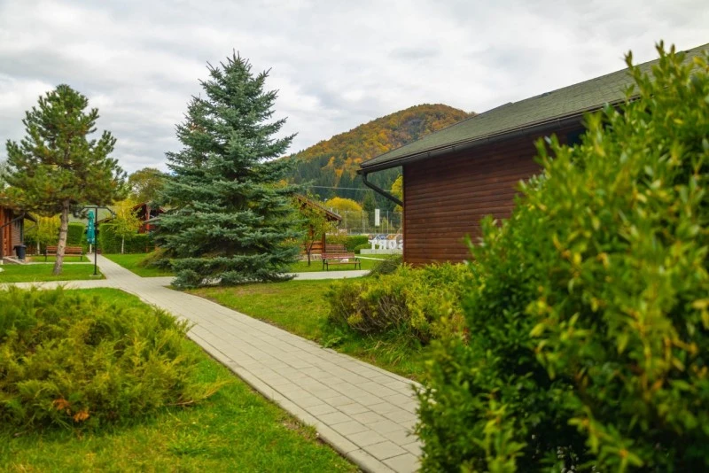 Zetea Cazare | Pensiune (K1603-134) Imaginea poate fi supusă drepturilor de autor. Se recomandă contactarea titularului drepturilor.