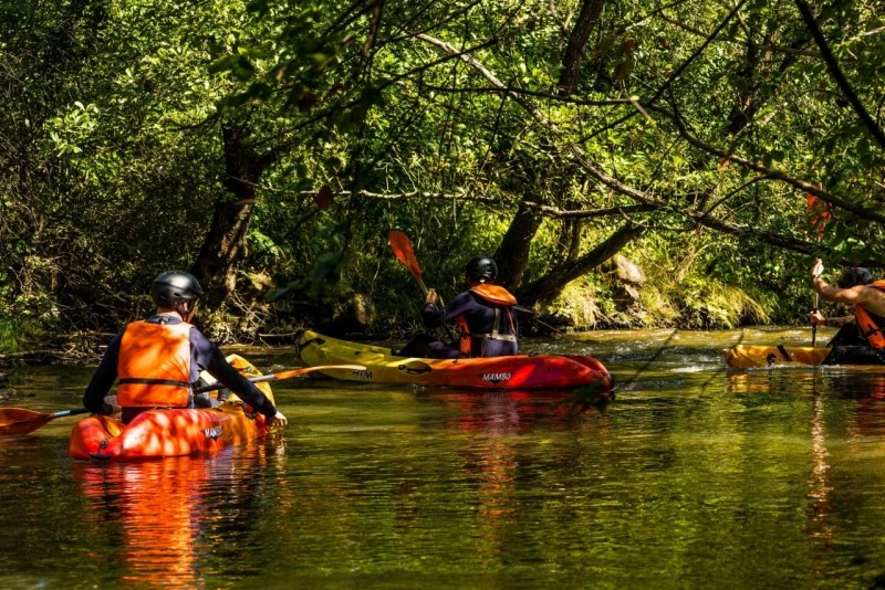 Zetea Cazare | Pensiune (K1603-137) Imaginea poate fi supusă drepturilor de autor. Se recomandă contactarea titularului drepturilor.