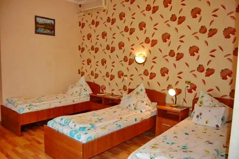 Arad Cazare | Pensiune (K0937-8) Imaginea poate fi supusă drepturilor de autor. Se recomandă contactarea titularului drepturilor.