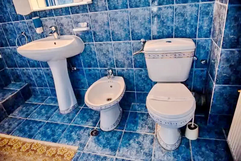 Cazare Arad - Pensiune Roua*** | Arad - Roua Pnazió***. Imaginea poate fi supusă drepturilor de autor. Se recomandă contactarea titularului drepturilor.