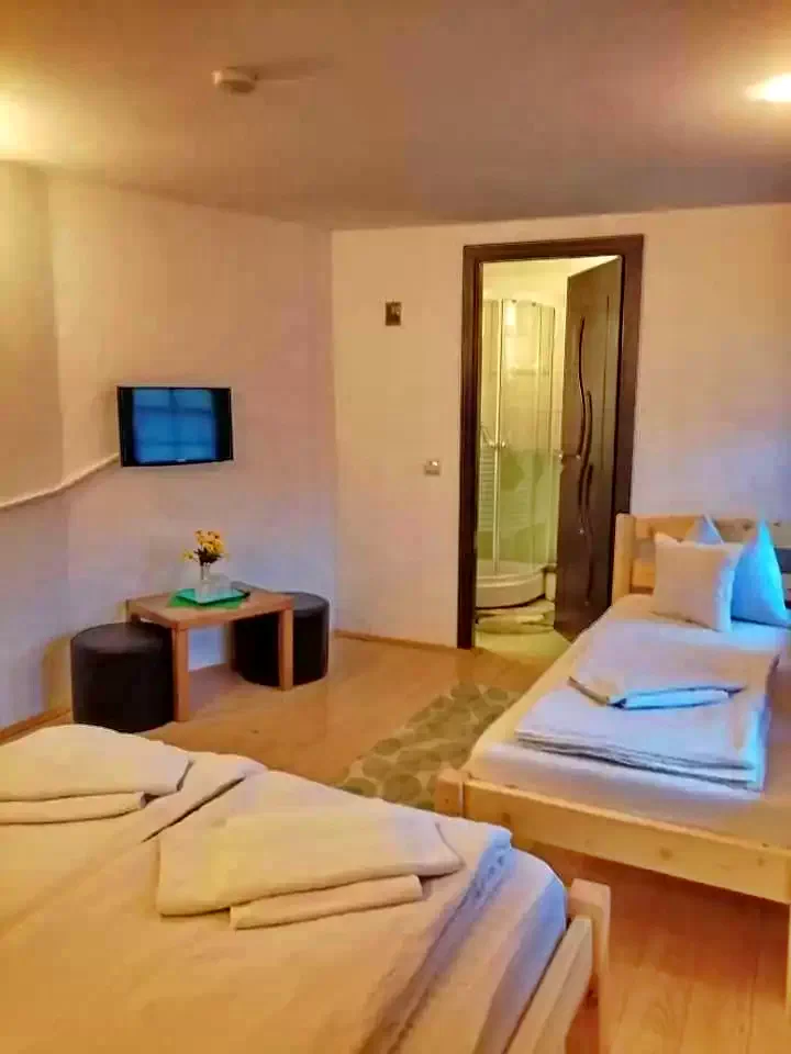 Sasca Română Cazare | Pensiune (K1273-27) Imaginea poate fi supusă drepturilor de autor. Se recomandă contactarea titularului drepturilor.