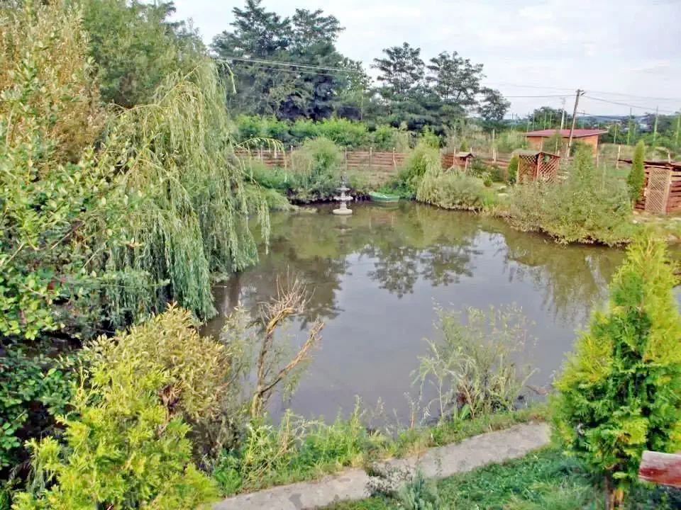 Marosvásárhely Szállás | Kulcsosház (K1124-40) A kép szerzői jogvédelem alatt állhat. Javasolt a kapcsolatfelvétel a jog tulajdonossal.