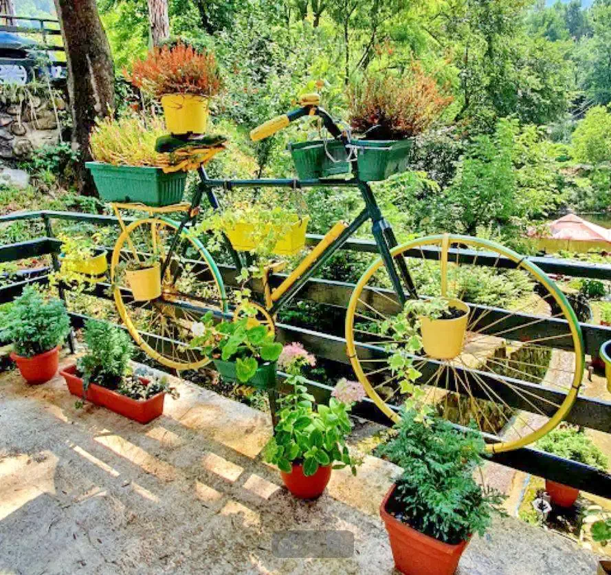 Szállás Băile Herculane - Casa Dimitrios *** | Herkulesfürdő - Casa Dimitrios Panzió ***. A kép szerzői jogvédelem alatt állhat. Javasolt a kapcsolatfelvétel a jog tulajdonossal.