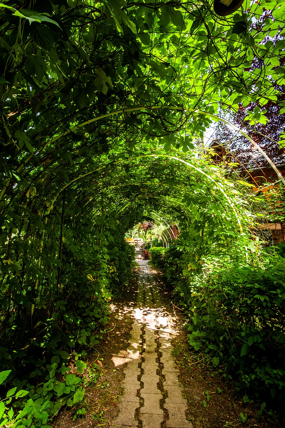 Pasul Bucin Cazare | Cabană (K0494-20) Imaginea poate fi supusă drepturilor de autor. Se recomandă contactarea titularului drepturilor.