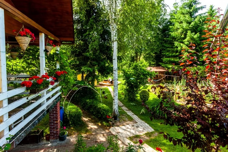 Pasul Bucin Cazare | Cabană (K0494-30) Imaginea poate fi supusă drepturilor de autor. Se recomandă contactarea titularului drepturilor.