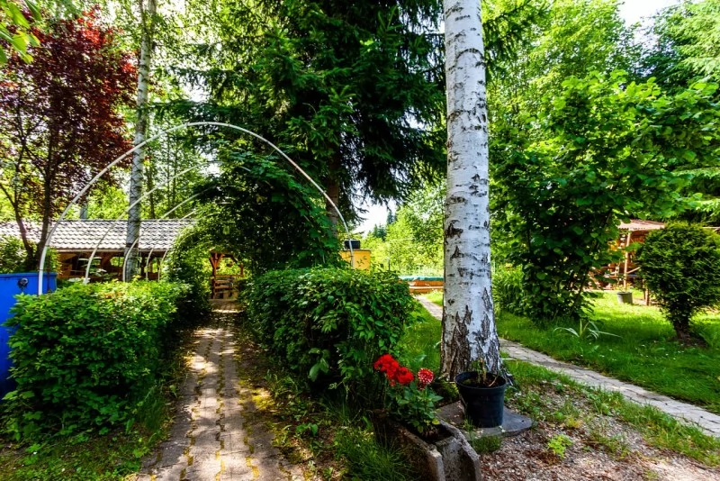 Pasul Bucin Cazare | Cabană (K0494-36) Imaginea poate fi supusă drepturilor de autor. Se recomandă contactarea titularului drepturilor.