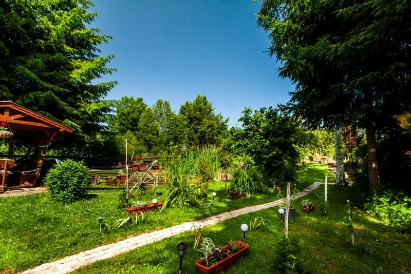 Pasul Bucin Cazare | Cabană (K0494-46) Imaginea poate fi supusă drepturilor de autor. Se recomandă contactarea titularului drepturilor.