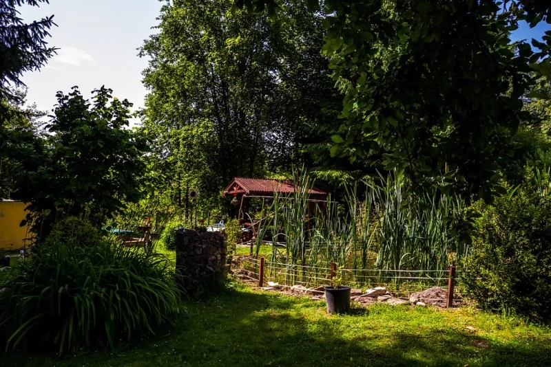 Pasul Bucin Cazare | Cabană (K0494-56) Imaginea poate fi supusă drepturilor de autor. Se recomandă contactarea titularului drepturilor.