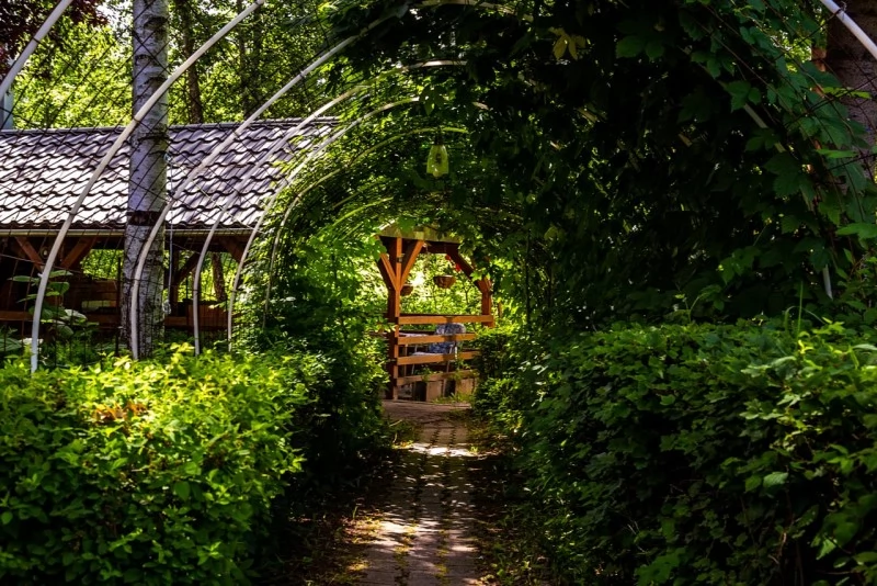 Pasul Bucin Cazare | Cabană (K0494-61) Imaginea poate fi supusă drepturilor de autor. Se recomandă contactarea titularului drepturilor.