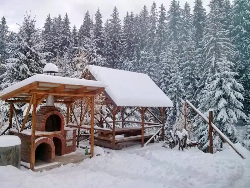 Bucsin-tető Szállás | Vendégház (K1275-31) A kép szerzői jogvédelem alatt állhat. Javasolt a kapcsolatfelvétel a jog tulajdonossal.