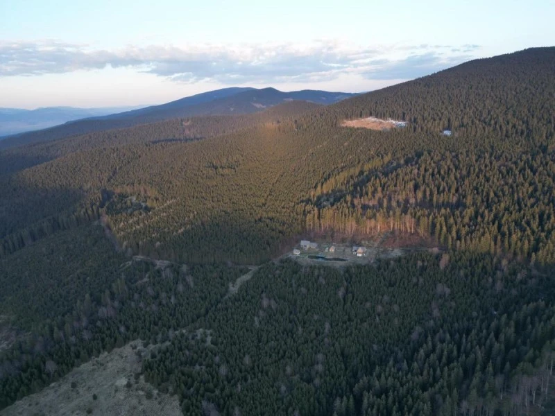 Pasul Bucin Cazare | Cabană (K1518-32) Imaginea poate fi supusă drepturilor de autor. Se recomandă contactarea titularului drepturilor.