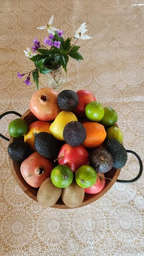 Cazare Valea Boga - Vila Iulius** | Boga Völgye - Iulius Vila** . Imaginea poate fi supusă drepturilor de autor. Se recomandă contactarea titularului drepturilor.