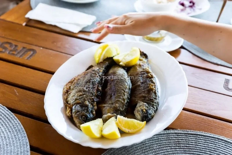 Orșova Cazare | Pensiune (K1606-48) Imaginea poate fi supusă drepturilor de autor. Se recomandă contactarea titularului drepturilor.