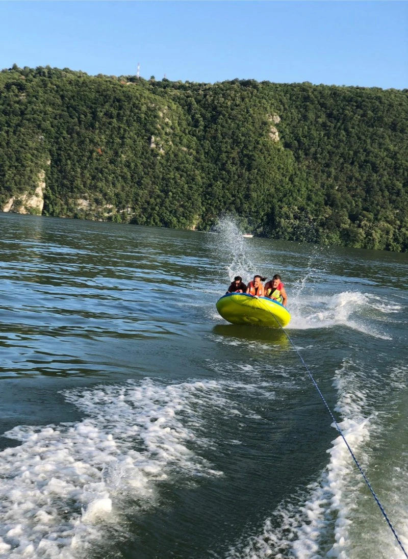 Orșova Cazare | Pensiune (K1606-55) Imaginea poate fi supusă drepturilor de autor. Se recomandă contactarea titularului drepturilor.