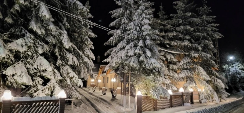 Ghelința Cazare | Pensiune (K1607-10) Imaginea poate fi supusă drepturilor de autor. Se recomandă contactarea titularului drepturilor.