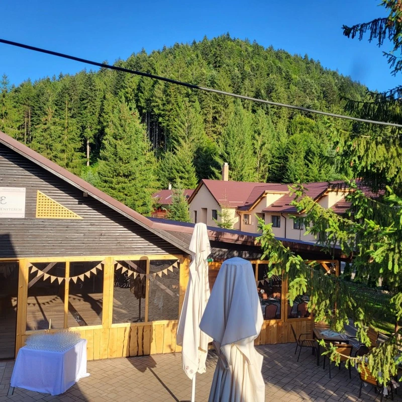 Ghelința Cazare | Pensiune (K1607-31) Imaginea poate fi supusă drepturilor de autor. Se recomandă contactarea titularului drepturilor.