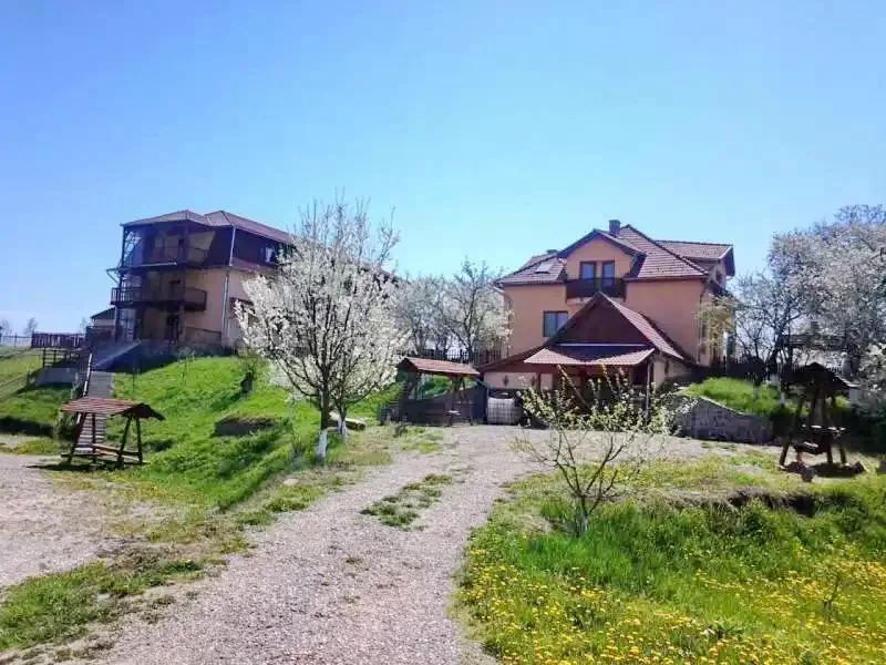 Târgu Secuiesc Cazare | Pensiune (K0129-8) Imaginea poate fi supusă drepturilor de autor. Se recomandă contactarea titularului drepturilor.