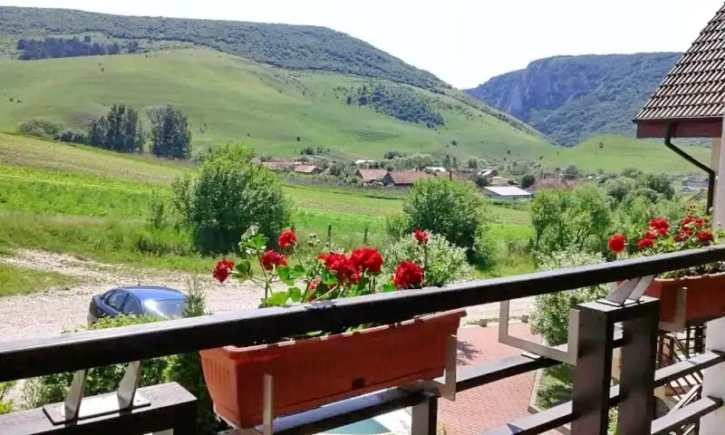Petreștii de Sus Cazare | Pensiune (K0656-43) Imaginea poate fi supusă drepturilor de autor. Se recomandă contactarea titularului drepturilor. Petreștii de Sus Cazare | Pensiune (K0656-43) Imaginea poate fi supusă drepturilor de autor. Se recomandă contactarea titularului drepturilor.