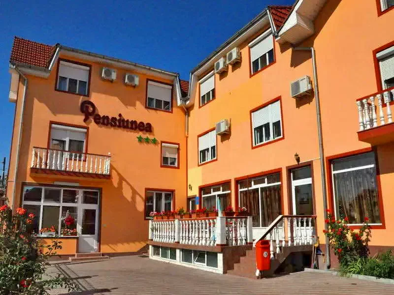 Arad Cazare | Pensiune (K0937-18) Imaginea poate fi supusă drepturilor de autor. Se recomandă contactarea titularului drepturilor.