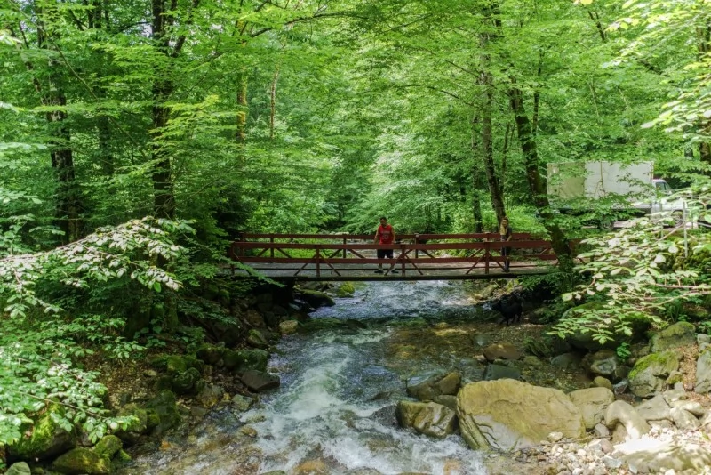 Valea Boga Cazare | Vilă (K0027-61) Imaginea poate fi supusă drepturilor de autor. Se recomandă contactarea titularului drepturilor. Valea Boga Cazare | Vilă (K0027-61) Imaginea poate fi supusă drepturilor de autor. Se recomandă contactarea titularului drepturilor.